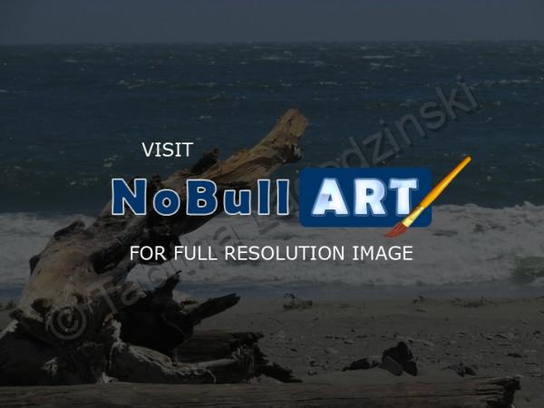 Photography - Beach - Digital Camera