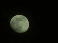Moon - Digital Camera Photography - By Tabitha Lagodzinski, Moon Photography Artist
