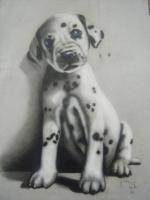 Puppy - Pencil Drawings - By Randy Wolfe, Real Drawing Artist