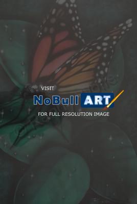 All - Butterfly - Airbrush