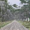 Avenue Of Oaks - Acrylic Paintings - By Allan West, Realistic Painting Artist