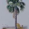Palm Yellow - Acrylic Paintings - By Allan West, Realistic Painting Artist