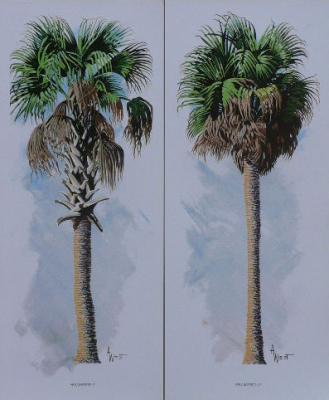 Print - Palm I And Palm II - Acrylic