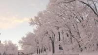 My Photography - Winter In Lakeview - Digital