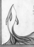 Orca - Graphite Pencil Drawings - By Amanda Heavlow, Abstract Drawing Artist