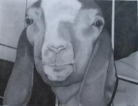 The Weedeater - Pencil Drawings - By Courtney Markwell, Realism Drawing Artist