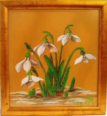 Soft Pastel - Snowdrops - Soft Pastel