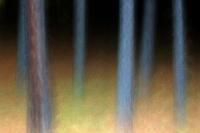 Enchanted Forest 2 - Digital Image Photography - By John R Math, Abstract Photography Artist