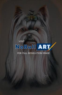Portrait - Dog - Pastel