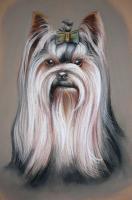 Portrait - Dog - Pastel