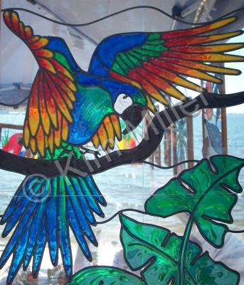 Glass Panel - Parrot In Flight - Glass Overlay