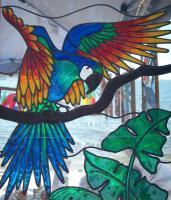 Parrot In Flight - Glass Overlay Glasswork - By Kim Miller, Casual Glasswork Artist