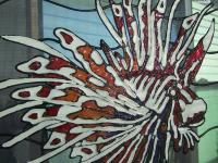 Glass Panel - Lion Fish - Add New Artwork Medium