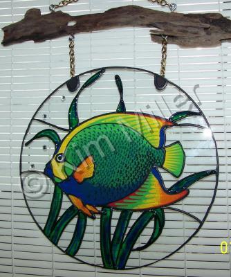 Glass Panel - Queen Angelfish - Glass Overlay