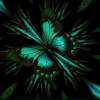 Abstract Butterfly - Digital Digital - By Nancy Northcutt, Abstract Digital Artist