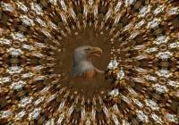 Abstract Eagle Dreamcatcher - Digital Digital - By Nancy Northcutt, Kaleidoscope Digital Artist