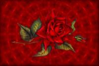 Digital Art - Rose On Abstract Background - Digital