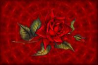 Rose On Abstract Background - Digital Digital - By Nancy Northcutt, Abstract Digital Artist