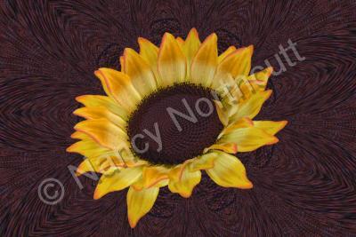 Digital Art - Sunflower Design - Digital