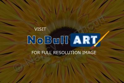 Digital Art - Sunflower Burst - Digital