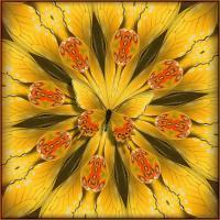 Digital Art - Kaleidoscope Yellow Butterlfy - Digital