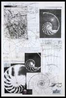 Nautilusspiral Mathematical Analised - Pencil  Paper Drawings - By Francois Verstiggel, Collage Drawing Artist