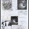 Nautilusspiral Mathematical Analised - Pencil  Paper Drawings - By Francois Verstiggel, Collage Drawing Artist