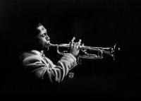 Trumpet - Graphite Pencil Drawings - By Jim Briscoe, Black  White Drawing Artist