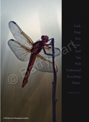 Inspirational Posters - Dragonfly - Digital