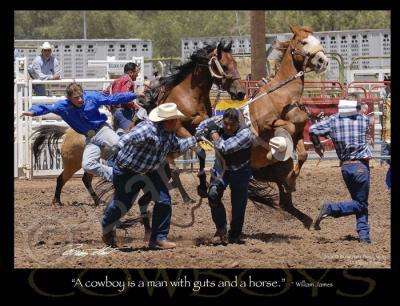 Cowboys And Horses - Cowboys - Digital