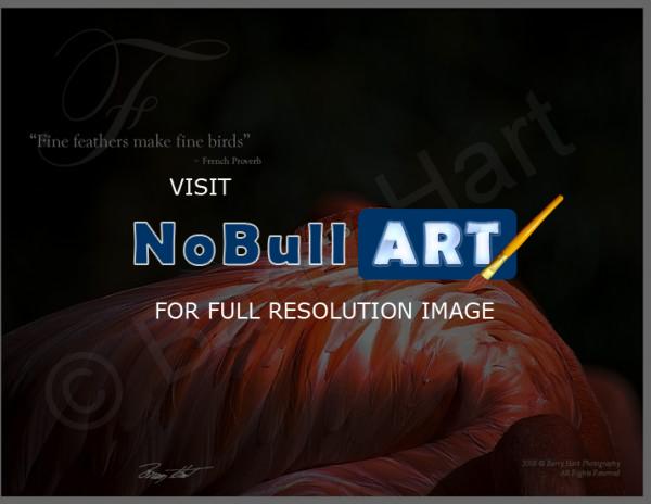 Inspirational Posters - Flamingo - Digital