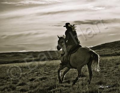 Cowboys And Horses - Headed For The Hills - Digital