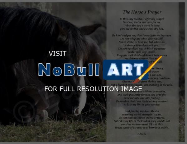 Horses - The Horses Prayer - Digital