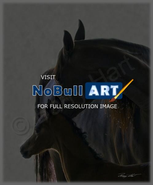 Horses - Naughty Baby Star - Digital
