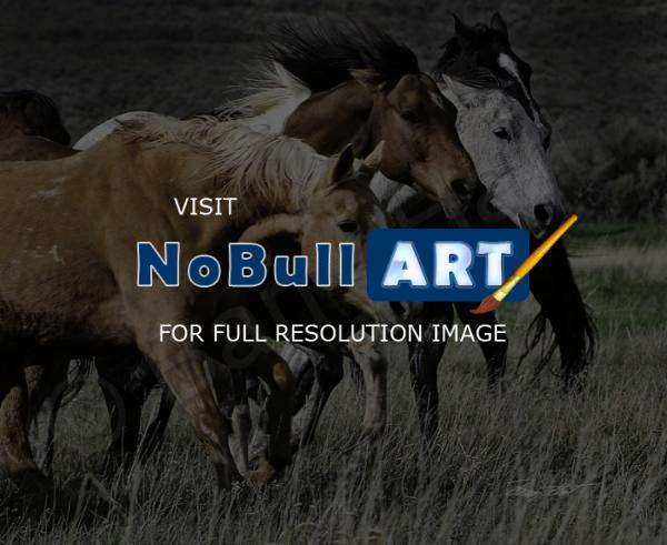 Horses - Meadow Run - Digital