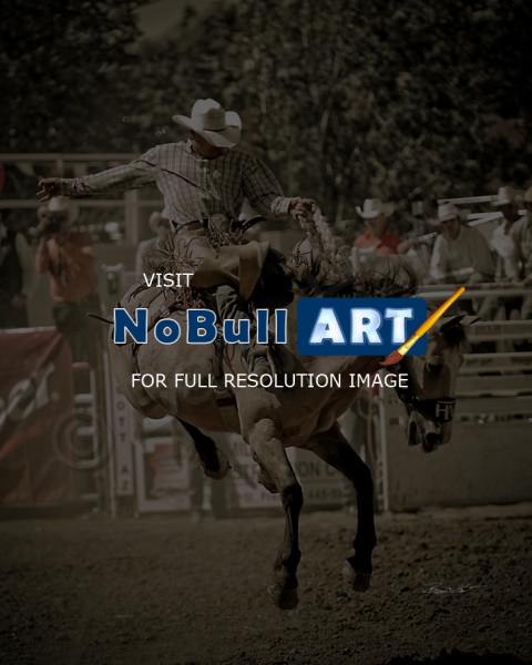Cowboys And Horses - Buckskin Bronc - Digital