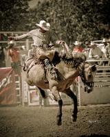 Buckskin Bronc - Digital Photography - By Barry Hart, Western Photography Artist