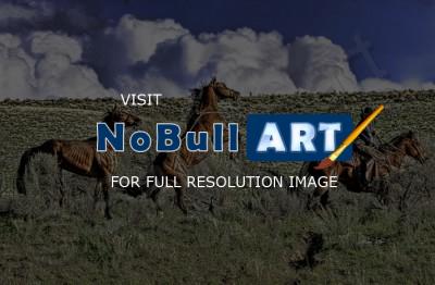 Cowboys And Horses - The Rebel - Digital