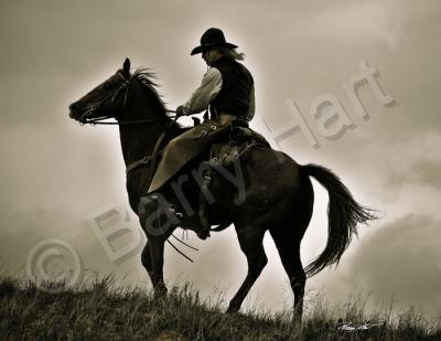 Cowboys And Horses - The Wrangler - Digital