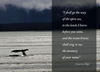 Whale Song - Digital Photography - By Barry Hart, Sea Life And Oceans Photography Artist