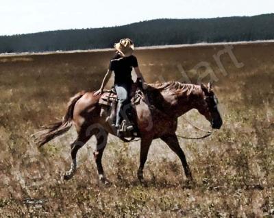 Cowboys And Horses - Good Boy - Digital