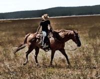 Cowboys And Horses - Good Boy - Digital