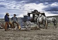 Cowboys And Horses - The Rest Stop - Digital