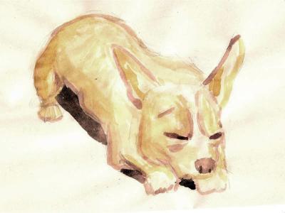 Watercolor - Peanut - Watercolor