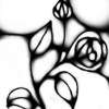 The Roses - Digital Drawings - By Jezli Pacheco, Expressionist Drawing Artist