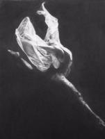 In Flight - Pencil Drawings - By Linda Bickston, Fine Art Drawing Artist