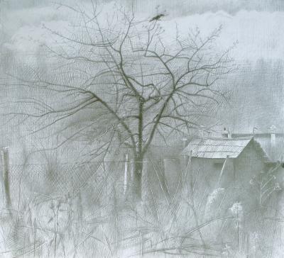 Author - Old Apple-Tree 2008 - Graphit Pencil On Paper