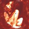 Birthing Tree Series - Photography And Photoshop Photography - By Jillian Bernstein, Fantasy Photography Artist