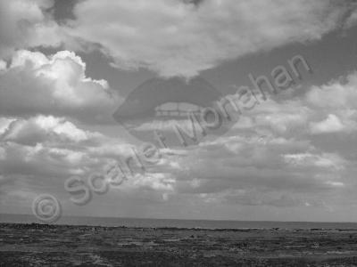 Photography - To Stop And Kiss The Sky - Photograph