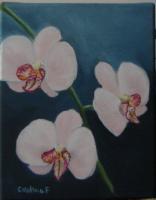 Flowers - Orchids - Acrylic